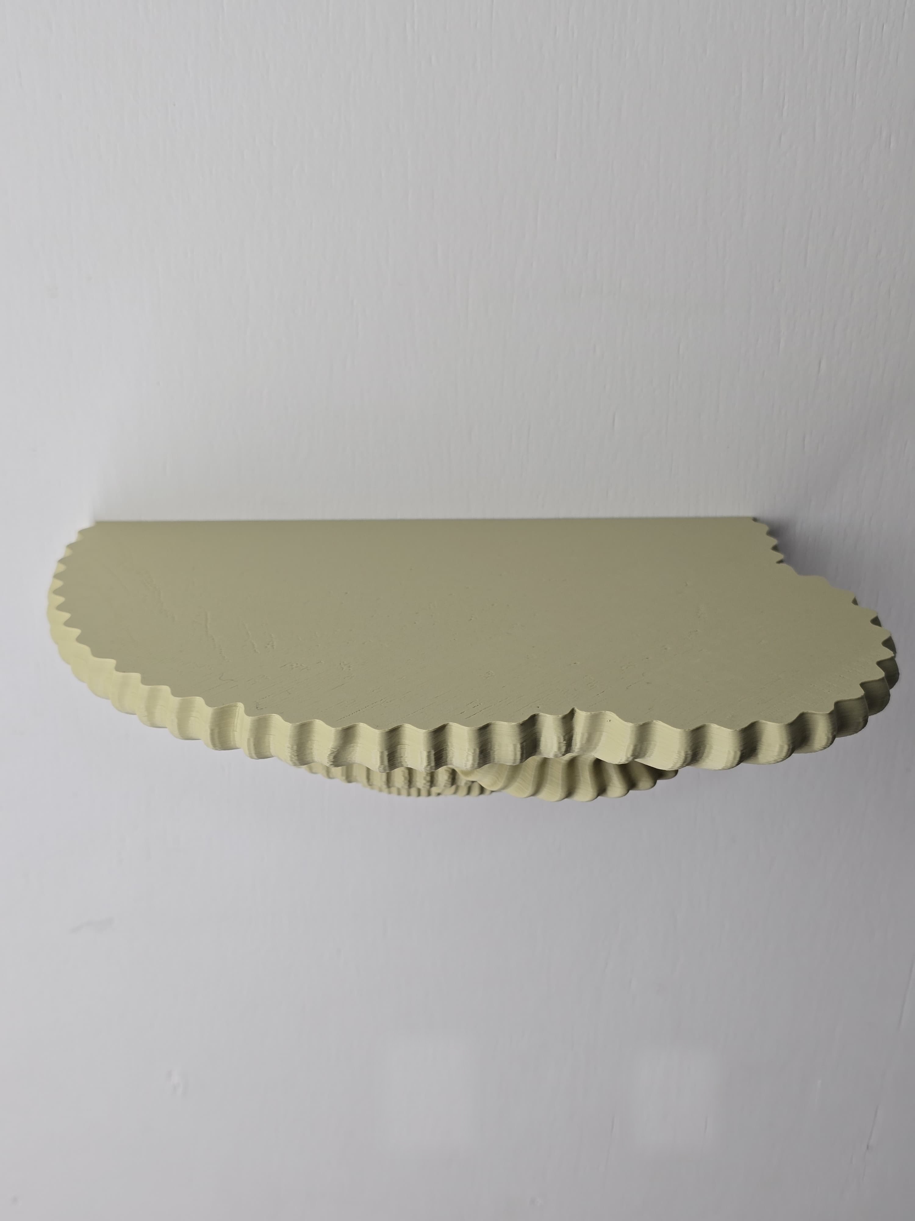 Tinder Fungus wall shelf